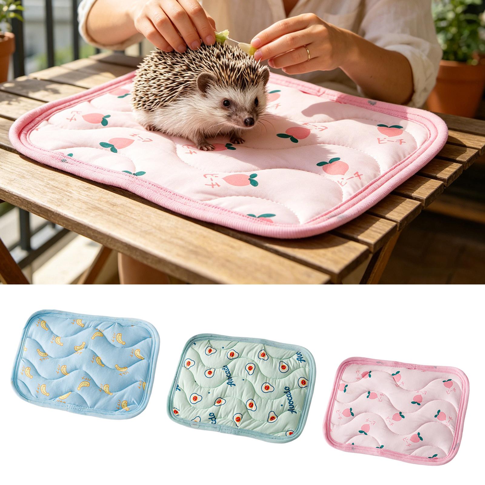 Tapis rafraîchissant pour anim - Outdoor Camping Dog Kennel avis et prix